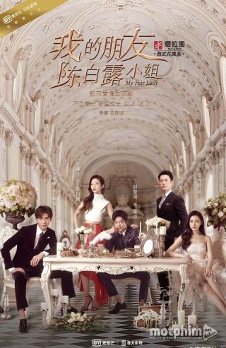 Bạn Của Tôi Cô Trần Bạch Lộ 2016