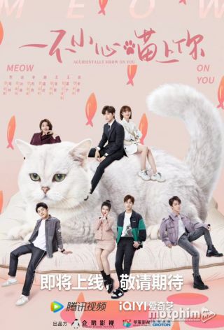 Bất Cẩn Meow Phải Anh 2022