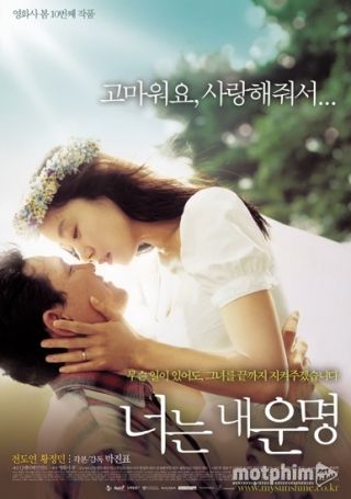 Bên Nhau Trọn Đời (Bản Điện Ảnh) 2015