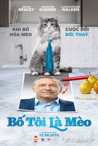 Bố Tôi Là Mèo Bố Tôi Là Mèo