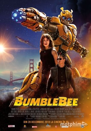 Bumblebee Bumblebee