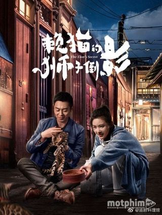 Cái Bóng Sư Tử Của Mèo Lười 2021