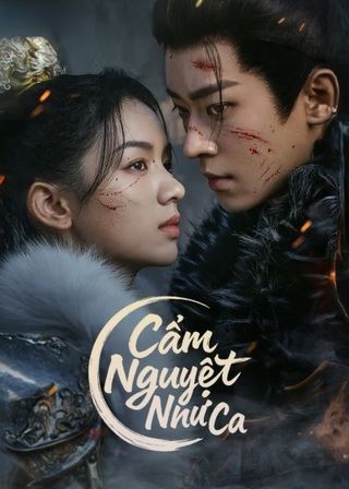 Cẩm Nguyệt Như Ca 2025