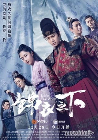 Cẩm Y Chi Hạ 2019
