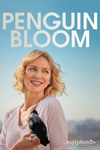 Cánh Cụt Nhà Bloom