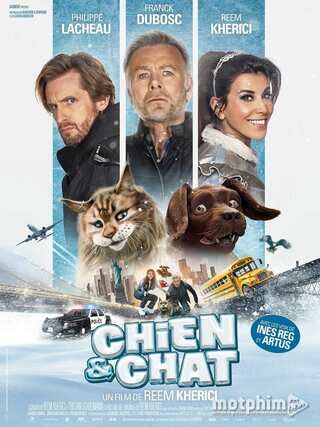 Chó và Mèo 2024