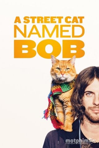 Chú Mèo Đường Phố Tên Bob
