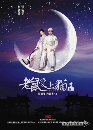 Chuột Yêu Mèo 2003