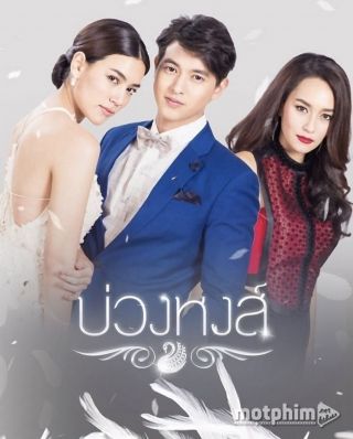 Cứu Tinh Của Nàng Thiên Nga 2017