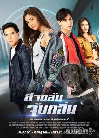 Điệp Viên Săn Mùi Điệp Viên Săn Mùi