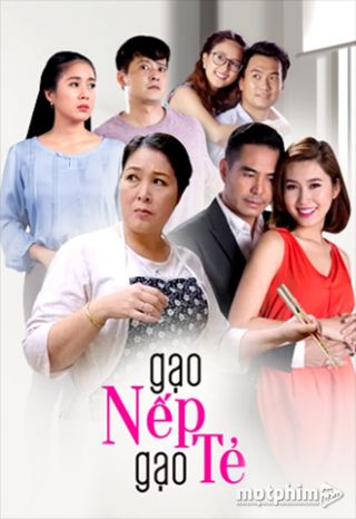 Gạo Nếp Gạo Tẻ Gạo Nếp Gạo Tẻ