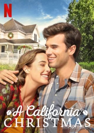 Giáng Sinh ở California: Ánh Đèn Thành Phố