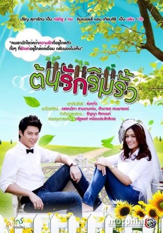 Hàng Rào Tình Yêu 2013