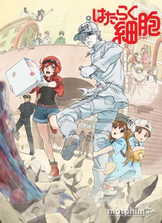 Hataraku Saibou Hataraku Saibou