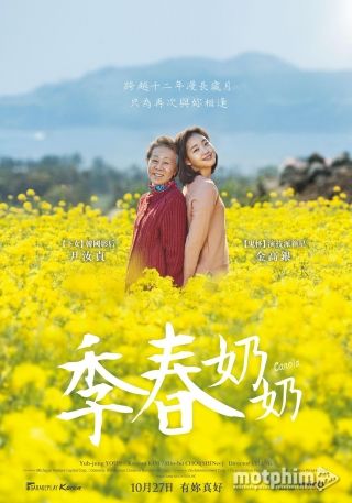 Hoa Cải Vàng Hoa Cải Vàng