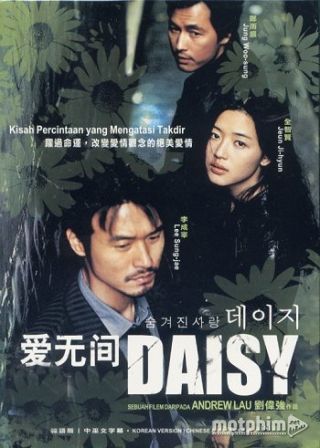Hoa Cúc Dại 2006