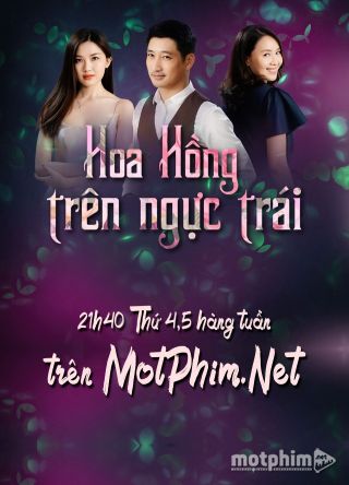 Hoa Hồng Trên Ngực Trái