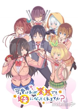 Kawaikereba Hentai demo Suki ni Natte Kuremasuka?