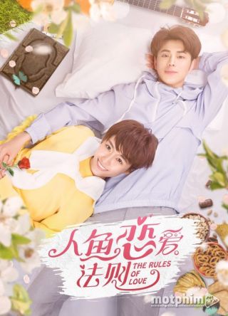 Khi Người Cá Yêu Khi Người Cá Yêu