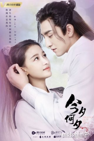 Kim Tịch Hà Tịch 2020