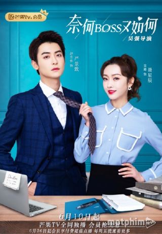 Làm Sao? Boss Lại Làm Sao Nữa 2020