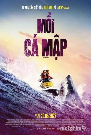 Mồi Cá Mập Mồi Cá Mập