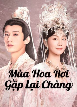 Mùa Hoa Rơi Gặp Lại Chàng 2025