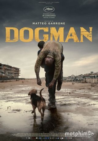 Người Chăm Sóc Chó Người Chăm Sóc Chó