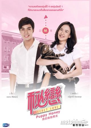 Người Tình Cún Con Người Tình Cún Con