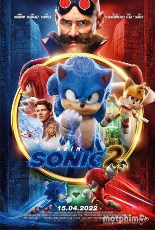 Nhím Sonic 2 Nhím Sonic 2