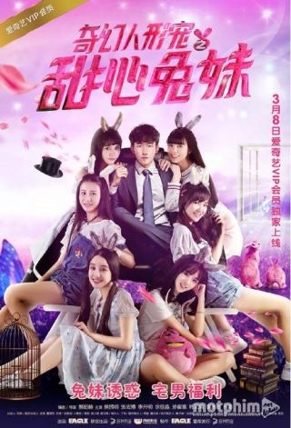 Sáu Nàng Thỏ Xinh Đẹp