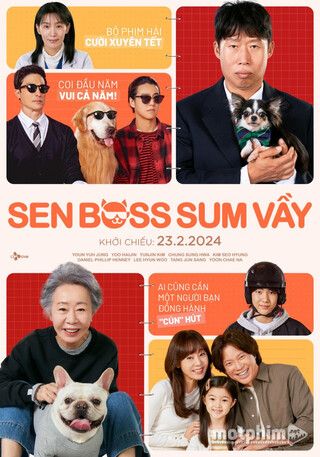 Sen Boss Sum Vầy 2024