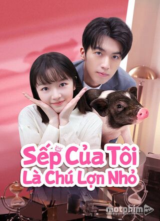 Sếp Của Tôi Là Chú Lợn Nhỏ 2024