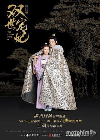Song Thế Sủng Phi