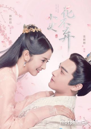 Tiểu Nữ Hoa Bất Khí 2019