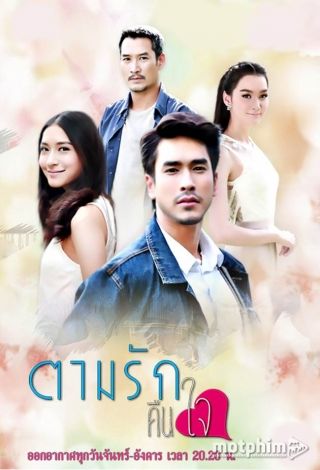 Tìm Lại Tình Yêu Tìm Lại Tình Yêu