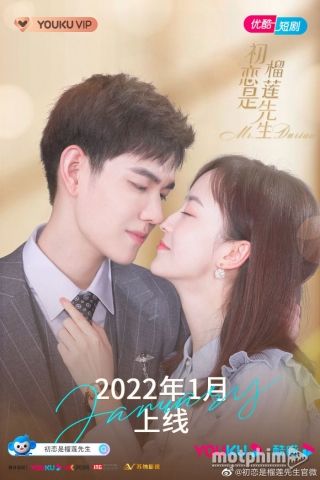 Tình Đầu Là Sầu Riêng Tiên Sinh