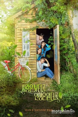 Tình Như Mơ, Đời Như Mộng 2019