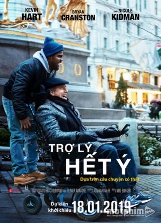 Trợ Lý Hết Ý 2019
