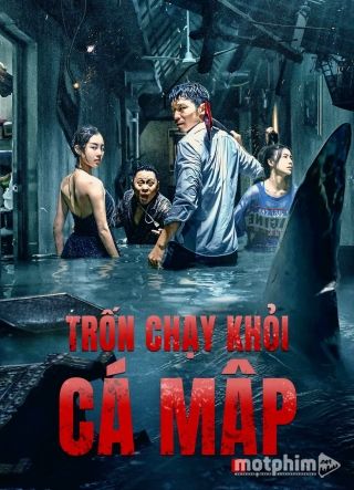 Trốn Chạy Khỏi Cá Mập