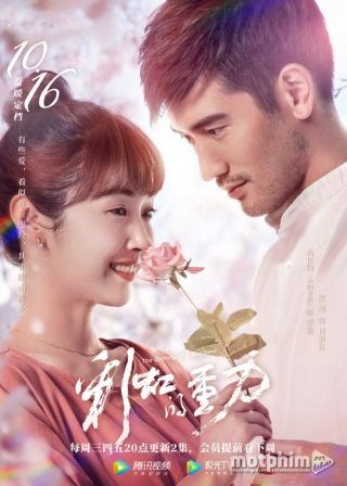 Trọng Lực Của Cầu Vồng 2019