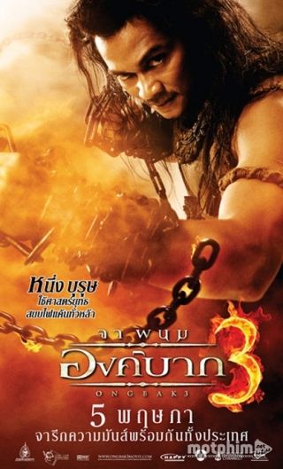 Truy Tìm Tượng Phật 3 2010
