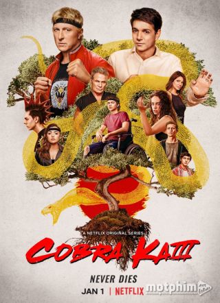 Võ Đường Cobra Kai (Phần 3) 2021