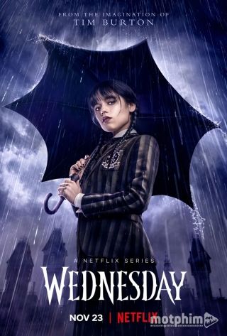 Wednesday 2022