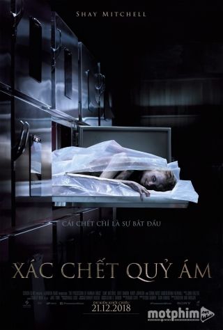 Xác Chết Quỷ Ám