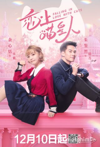 Yêu Phải Nàng Meo Tinh